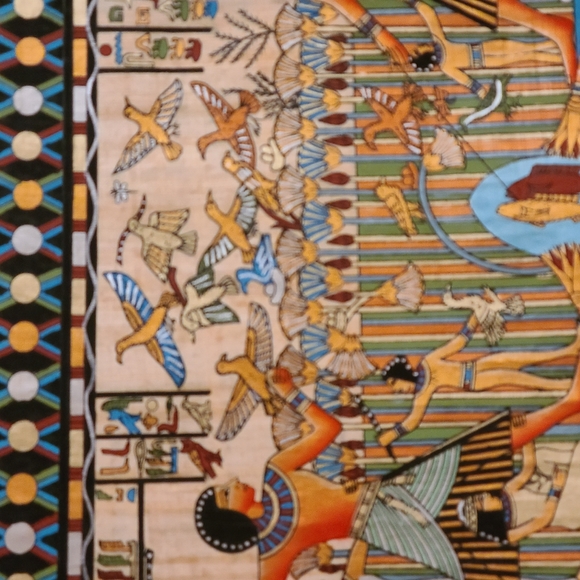 Papyrus - Picture 11 of 16